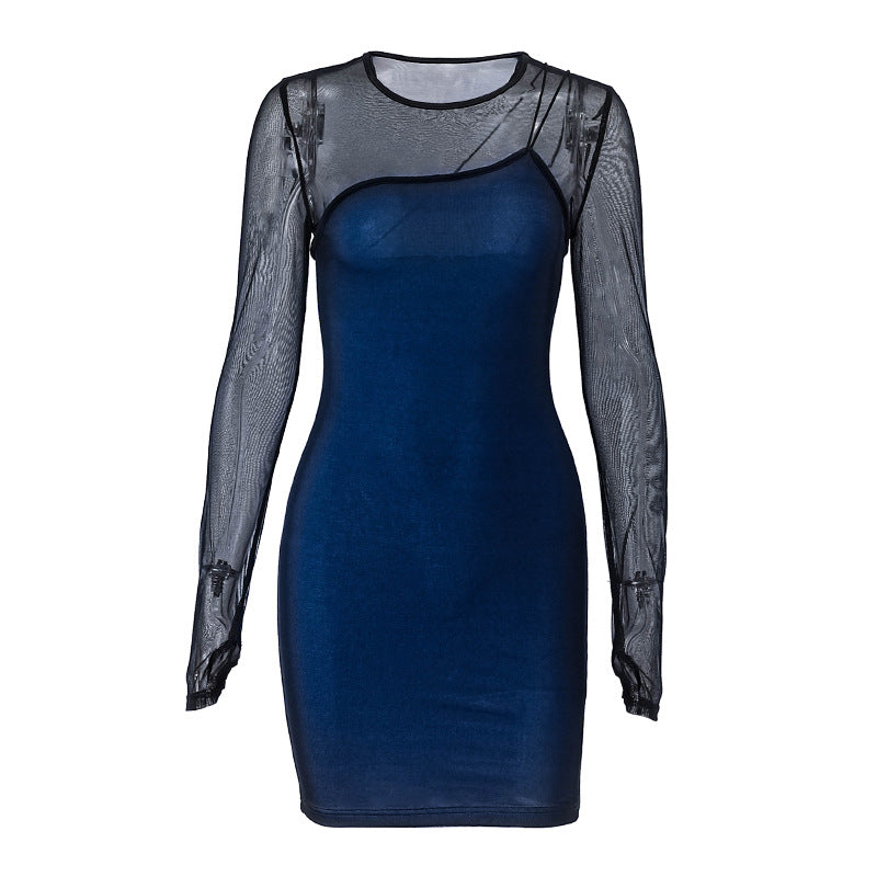 Sheer Mesh - Paneled Bodycon Dress