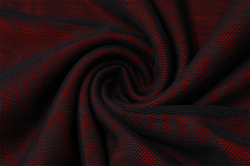 Sheer Mesh - Paneled Bodycon Dress