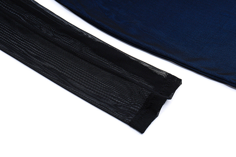 Sheer Mesh - Paneled Bodycon Dress