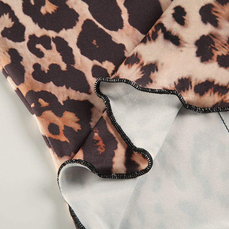 Leopard Print Lace - Trimmed Crop Top