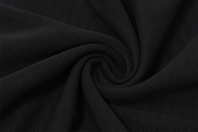 Sheer Mesh - Paneled Bodycon Dress