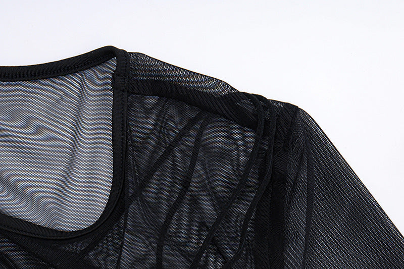 Sheer Mesh - Paneled Bodycon Dress