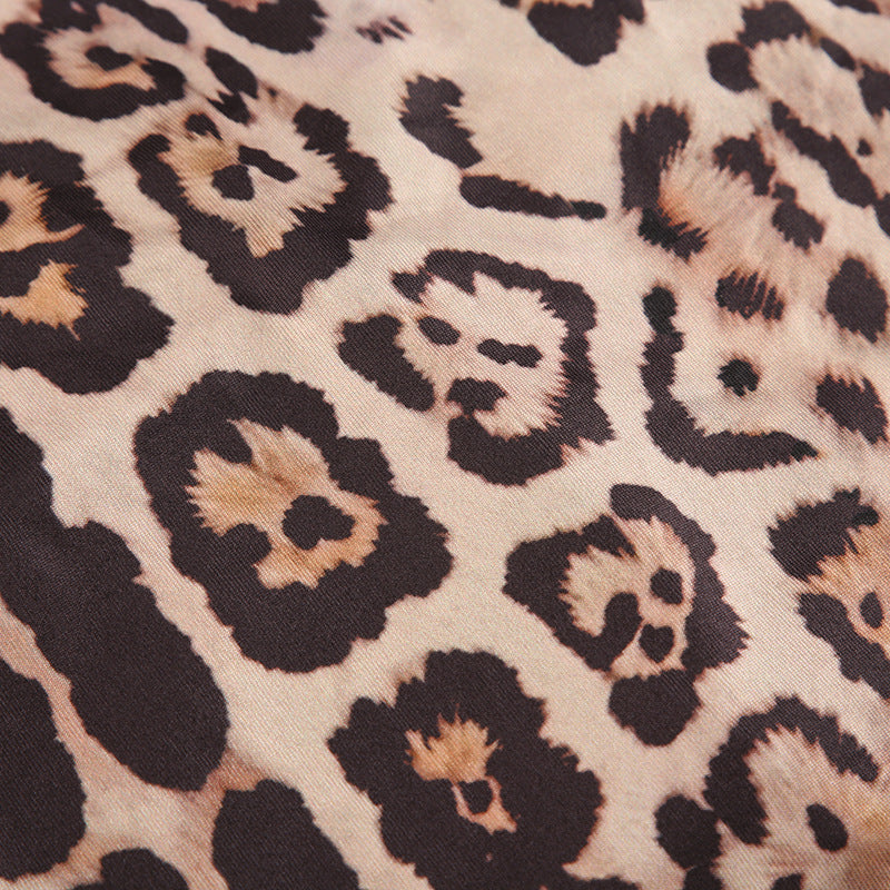 Leopard Print Lace - Trimmed Crop Top