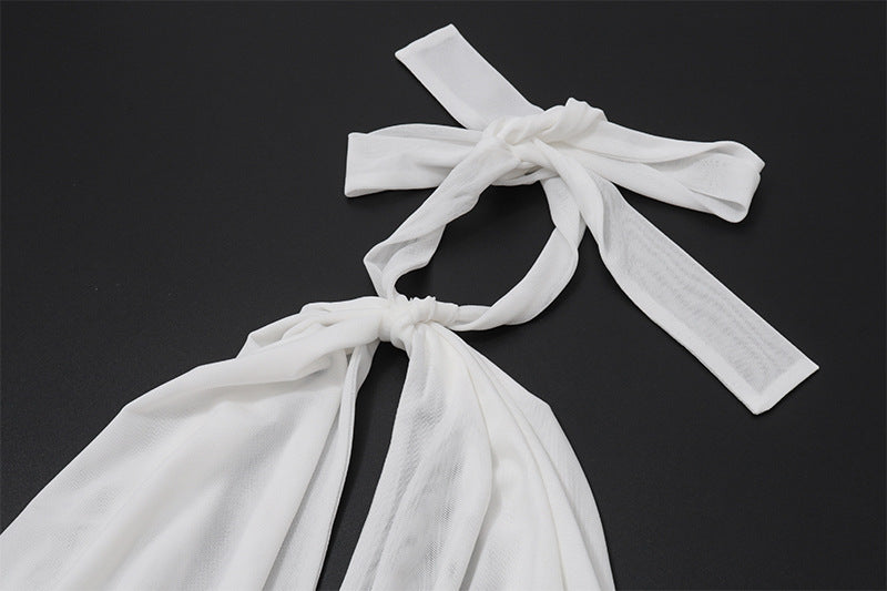 Halter Neck Lace - Paneled Bodycon Dress