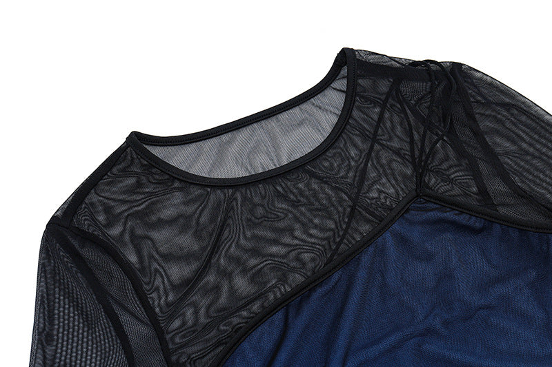 Sheer Mesh - Paneled Bodycon Dress